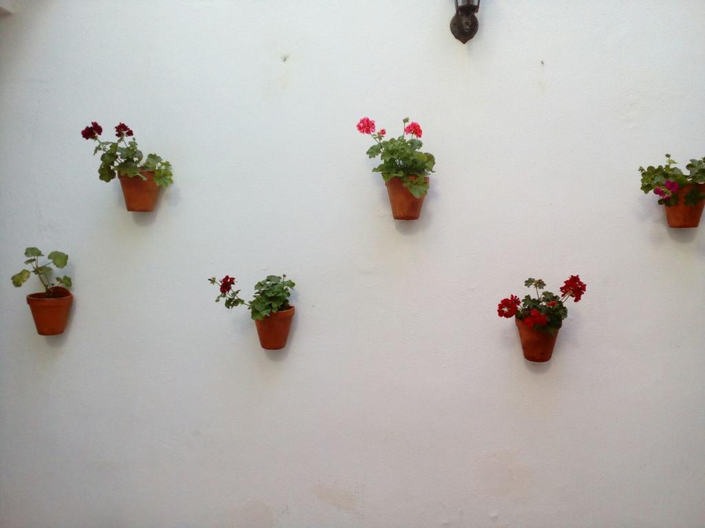 Apartamentos Porvera Jerez جيريز المظهر الخارجي الصورة